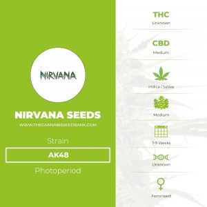 AK48 (Nirvana Seeds) - The Cannabis Seedbank