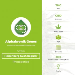 Heisenberg Kush Regular (Alphakronik Genes) - The Cannabis Seedbank