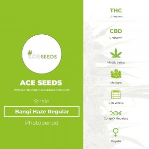 Bangi Haze Regular (Ace Seeds) - The Cannabis Seedbank
