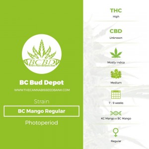 BC Mango Regular (BC Bud Depot) - The Cannabis Seedbank