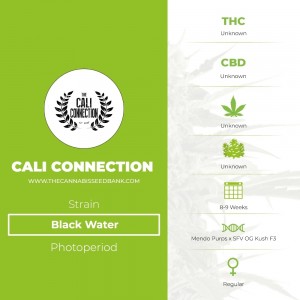 Black Water Regular (Cali Connection) - The Cannabis Seedbank
