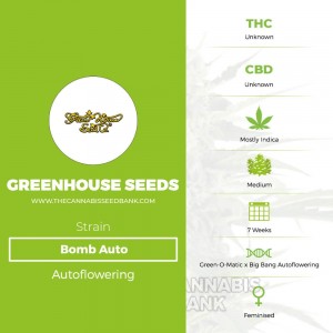 Bomb Auto (Greenhouse Seed Co.) - The Cannabis Seedbank
