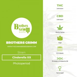 Cinderella XX (Brothers Grimm Seeds) - The Cannabis Seedbank
