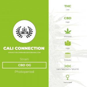 CBD OG (Cali Connection) - The Cannabis Seedbank
