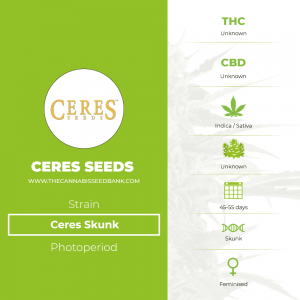 Ceres Skunk (Ceres Seeds) - The Cannabis Seedbank
