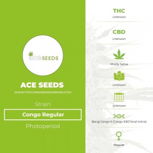 Congo Regular (Ace Seeds) - The Cannabis Seedbank