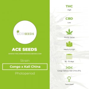 Congo x Kali China (Ace Seeds) - The Cannabis Seedbank