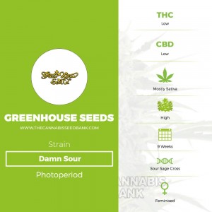 Damn Sour (Greenhouse Seed Co.) - The Cannabis Seedbank