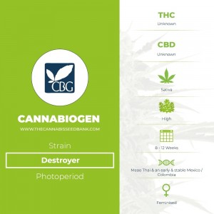 Destroyer (Cannabiogen) - The Cannabis Seedbank