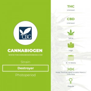 Destroyer Regular (Cannabiogen) - The Cannabis Seedbank