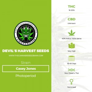 Casey Jones (Devils Harvest Seeds) - The Cannabis Seedbank