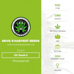 OG Reek'n (Devils Harvest Seeds) - The Cannabis Seedbank