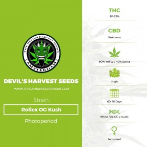 Rollex OG Kush (Devils Harvest Seeds) - The Cannabis Seedbank