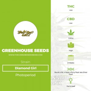Diamond Girl (Greenhouse Seed Co.) - The Cannabis Seedbank