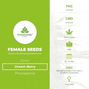 Dream Berry (Female Seeds) - The Cannabis Seedbank