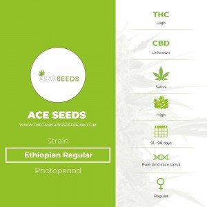 Ethiopian Regular (Ace Seeds) - The Cannabis Seedbank
