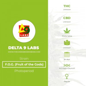 F.O.G. (Fruit of the Gods) Regular (Delta 9 Labs) - The Cannabis Seedbank