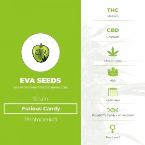 Furious Candy (Eva Seeds) - The Cannabis Seedbank