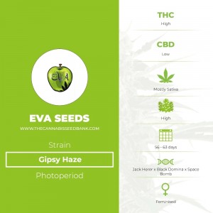 Gipsy Haze (Eva Seeds) - The Cannabis Seedbank