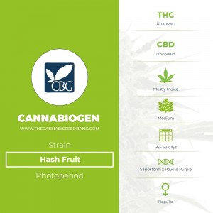 Hash Fruit Regular (Cannabiogen) - The Cannabis Seedbank