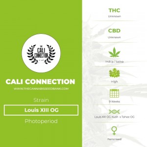 Louis XIII OG (Cali Connection) - The Cannabis Seedbank