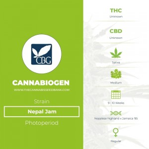 Nepal Jam Regular (Cannabiogen) - The Cannabis Seedbank