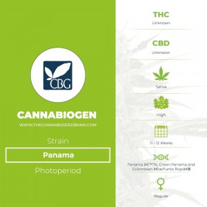 Panama Regular (Cannabiogen) - The Cannabis Seedbank