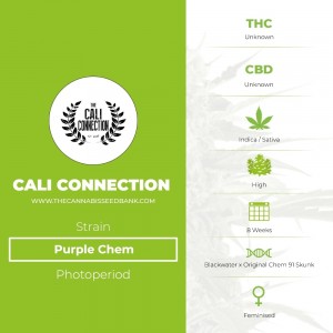 Purple Chem (Cali Connection) - The Cannabis Seedbank