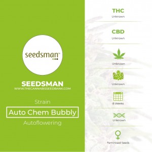 Auto Chem Bubbly Feminised Seedsman - Characteristics