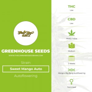Sweet Mango Auto (Greenhouse Seed Co.) - The Cannabis Seedbank
